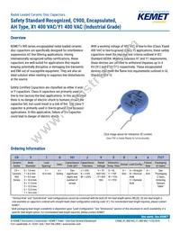 C921U152MVWDBA7317 Datasheet Cover