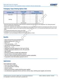 C921U152MVWDBA7317 Datasheet Page 2