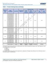 C921U152MVWDBA7317 Datasheet Page 5