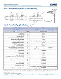 C921U222MUVDBA7317 Datasheet Page 13