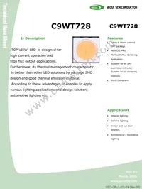 C9WT728S Datasheet Page 3