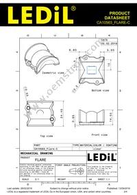 CA10563_FLARE-C Datasheet Page 2