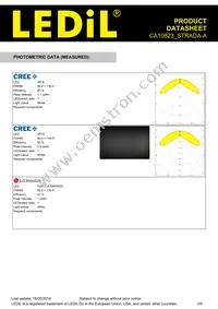 CA10823_STRADA-A Datasheet Page 3