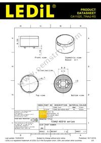 CA11020_TINA2-RS Datasheet Page 2