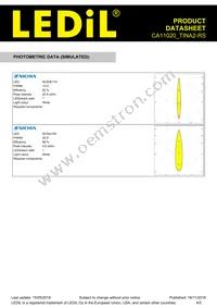 CA11020_TINA2-RS Datasheet Page 4