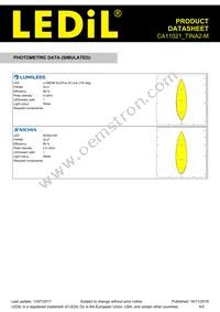 CA11021_TINA2-M Datasheet Page 4