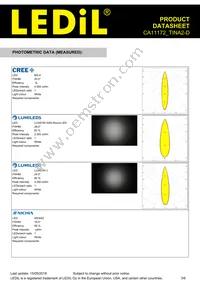 CA11172_TINA2-D Datasheet Page 3