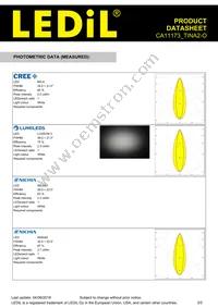 CA11173_TINA2-O Datasheet Page 3