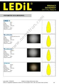 CA11175_TINA2-W Datasheet Page 3