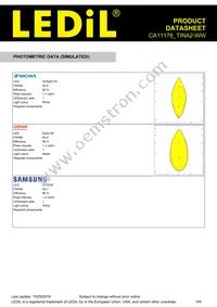 CA11176_TINA2-WW Datasheet Page 5