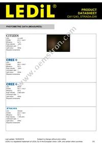 CA11243_STRADA-DW Datasheet Page 3
