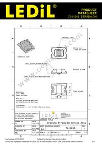 CA11245_STRADA-DN Datasheet Page 2