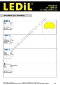 CA11253_STRADA-C2 Datasheet Page 3