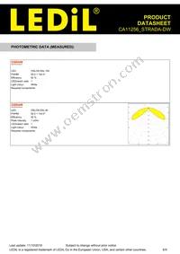 CA11256_STRADA-DW Datasheet Page 6