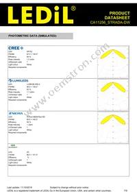 CA11256_STRADA-DW Datasheet Page 7