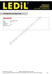 CA11256_STRADA-DW Datasheet Page 8