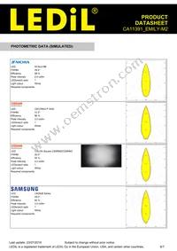 CA11391_EMILY-M2 Datasheet Page 6