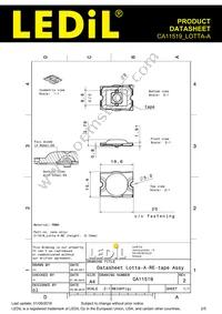 CA11519_LOTTA-A Datasheet Page 2