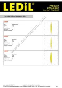 CA11847_TINA2-RS Datasheet Page 5
