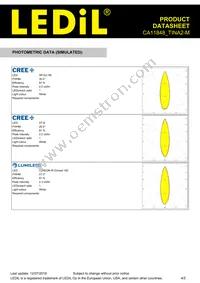 CA11848_TINA2-M Datasheet Page 4