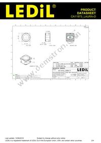 CA11973_LAURA-O Datasheet Page 2