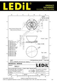 CA12000_EMILY-O-WAS Datasheet Page 2