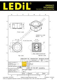CA12011_LAURA-SS-PIN Datasheet Page 2