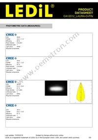 CA12012_LAURA-O-PIN Datasheet Page 3