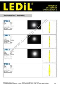 CA12062_EMILY-D Datasheet Page 3