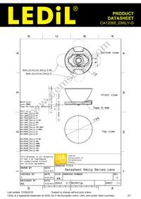 CA12066_EMILY-O Datasheet Page 2