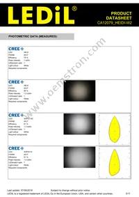 CA12079_HEIDI-W2 Datasheet Page 3