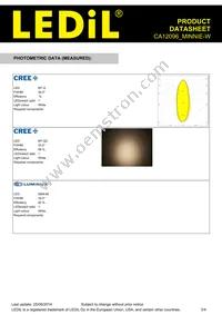 CA12096_MINNIE-W Datasheet Page 3