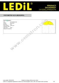 CA12238_STRADA-FW Datasheet Page 4