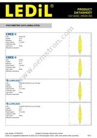 CA12242_HEIDI-SS Datasheet Page 8