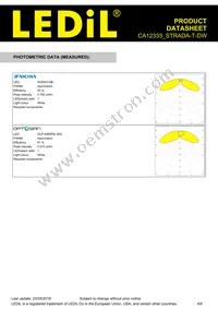 CA12333_STRADA-T-DW Datasheet Page 4