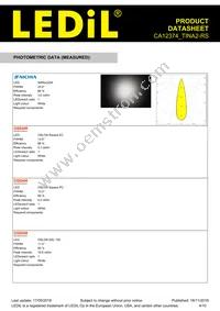 CA12374_TINA2-RS Datasheet Page 4
