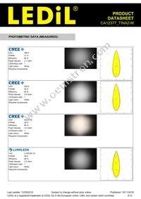 CA12377_TINA2-M Datasheet Page 3