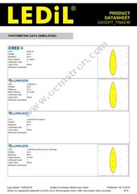 CA12377_TINA2-M Datasheet Page 8