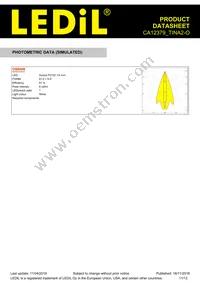 CA12379_TINA2-O Datasheet Page 11