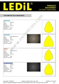 CA12428_TINA3-WWW Datasheet Page 5