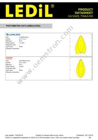 CA12429_TINA3-OO Datasheet Page 5