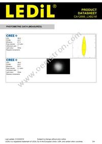 CA12666_LXB2-M Datasheet Page 3