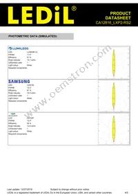 CA12816_LXP2-RS2 Datasheet Page 4