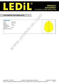 CA12838_FLARE-MINI-A-PIN Datasheet Page 10