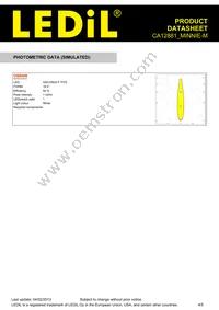 CA12881_MINNIE-M Datasheet Page 4