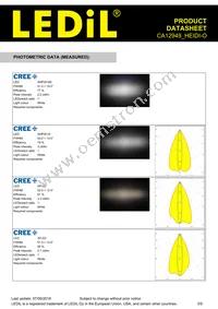 CA12949_HEIDI-O Datasheet Page 3