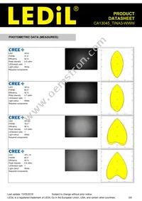 CA13045_TINA3-WWW Datasheet Page 3