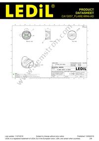 CA13057_FLARE-MINI-AD Datasheet Page 2