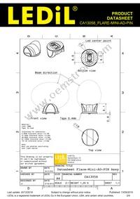 CA13058_FLARE-MINI-AD-PIN Datasheet Page 2