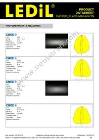 CA13058_FLARE-MINI-AD-PIN Datasheet Page 3